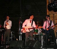 The Talent, function band, party band, covers band, wedding band, party band. 1095489 Image 6